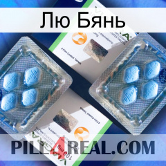 Лю Бянь viagra5